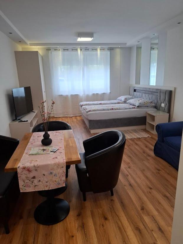 Vila Ema Apartments And Rooms Ljubljana Ngoại thất bức ảnh
