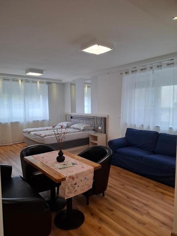 Vila Ema Apartments And Rooms Ljubljana Ngoại thất bức ảnh
