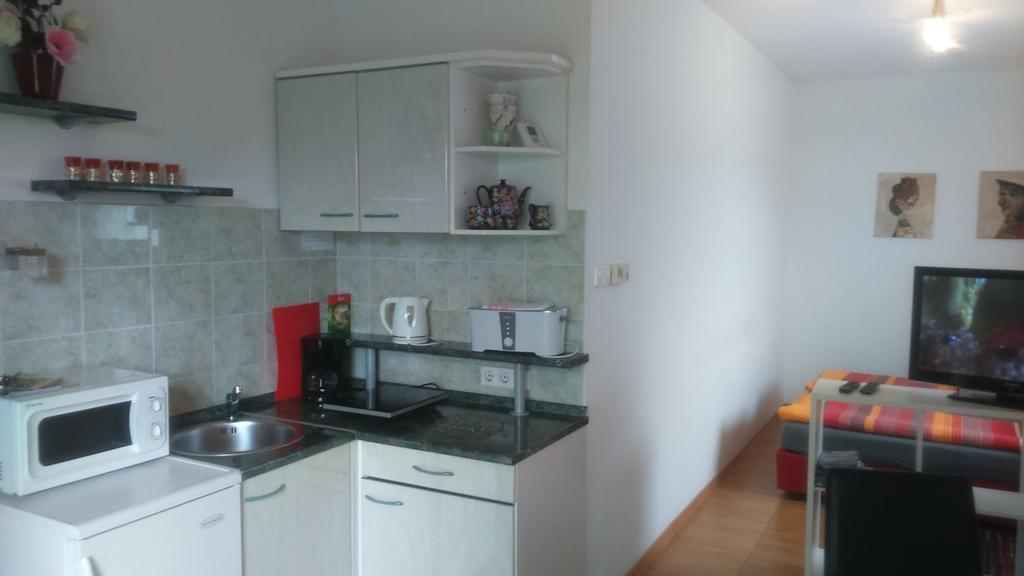 Vila Ema Apartments And Rooms Ljubljana Ngoại thất bức ảnh