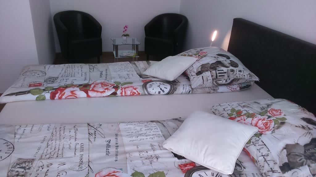 Vila Ema Apartments And Rooms Ljubljana Ngoại thất bức ảnh