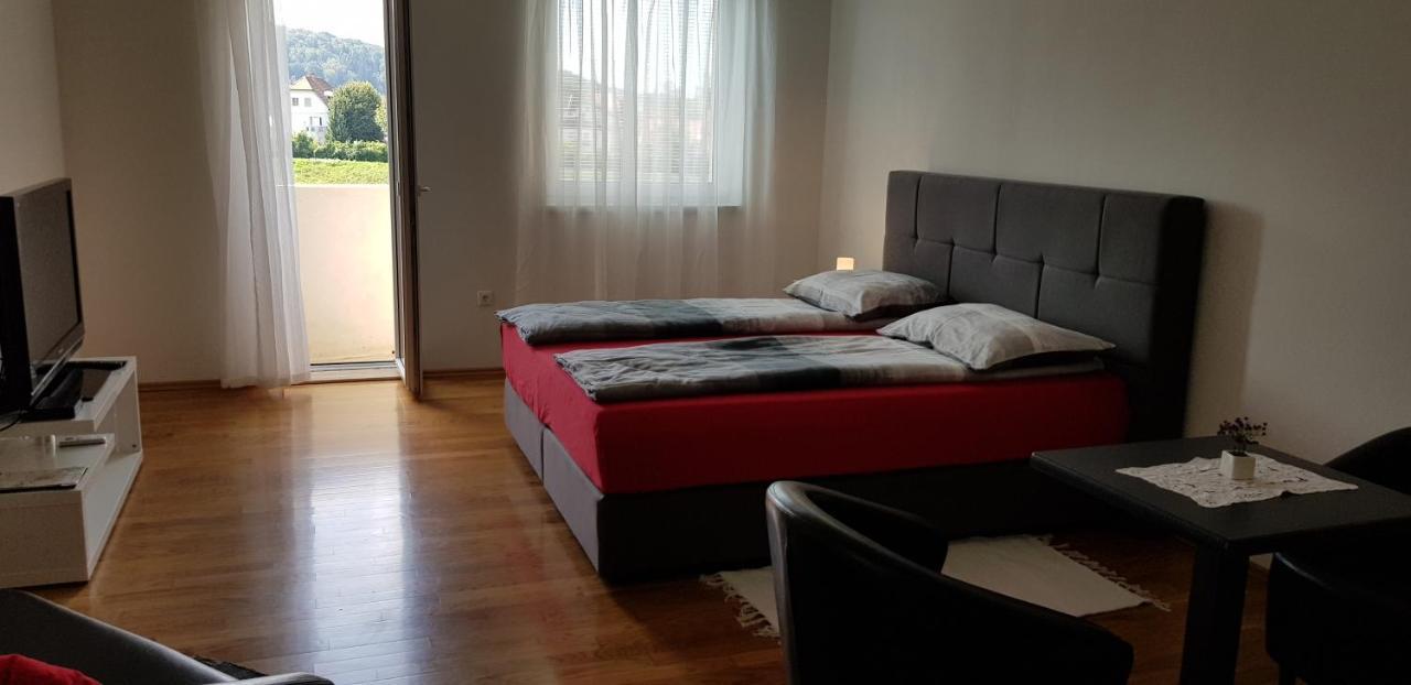 Vila Ema Apartments And Rooms Ljubljana Ngoại thất bức ảnh