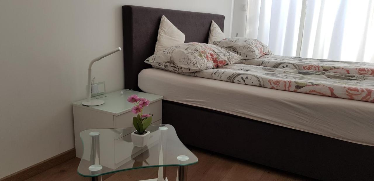 Vila Ema Apartments And Rooms Ljubljana Ngoại thất bức ảnh